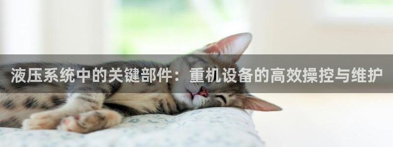 天宏娱乐在哪里