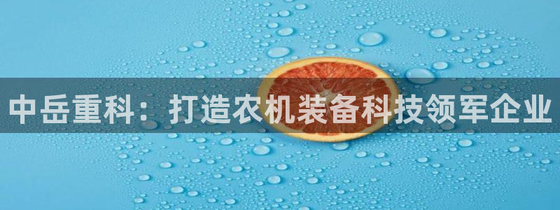 天宏娱乐石叔简介
