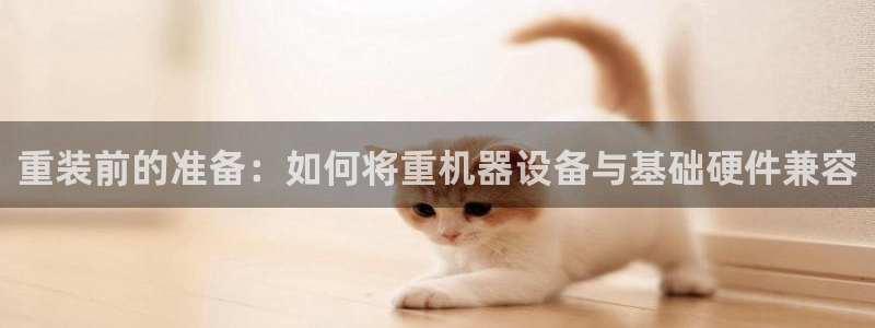 天宏娱乐金大叔
