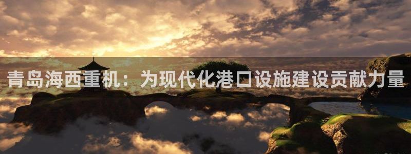 天宏娱乐创始人简介