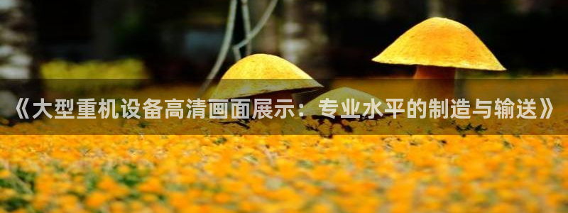 天宏娱乐董事长
