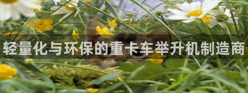 天宏娱乐小刘叔：轻量化与环保的重卡车举升机制造商