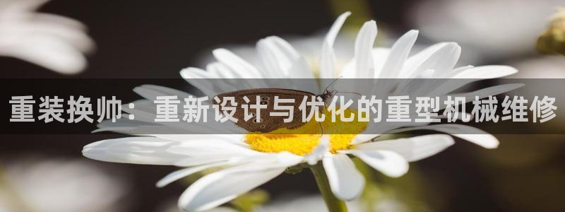 天宏娱乐直播团队介绍