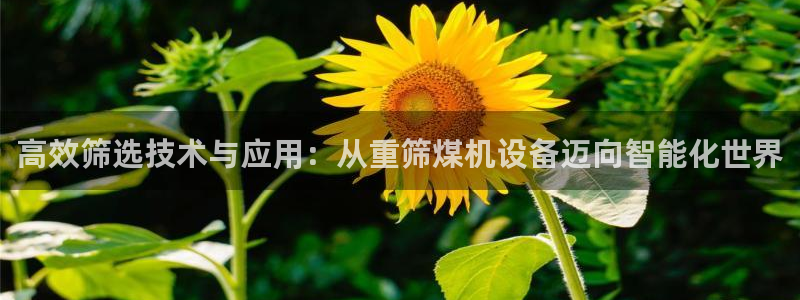 天宏娱乐小刘叔