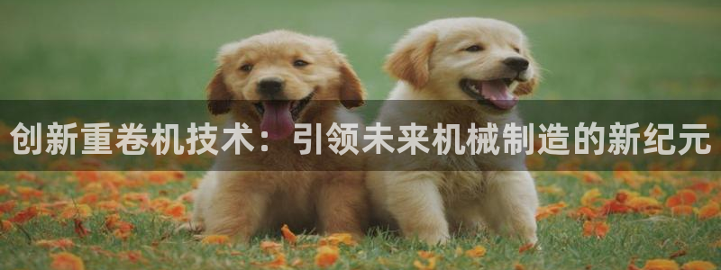 天宏娱乐魂师对决：创新重卷机技术：引领未来机械制造的新纪元