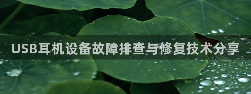 天宏娱乐小号怎么玩视频