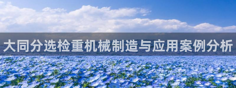 宏天娱乐俱乐部：大同分选检重机械制造与应用案例分析