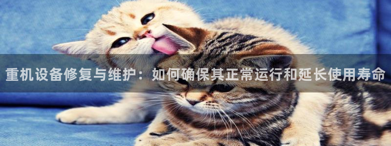 天宏娱乐是正规的吗：重机设备修复与维护：如何确保其正常运行和