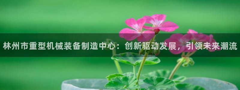 天宏娱乐直播团队名单：林州市重型机械装备制造中心：创新驱动发