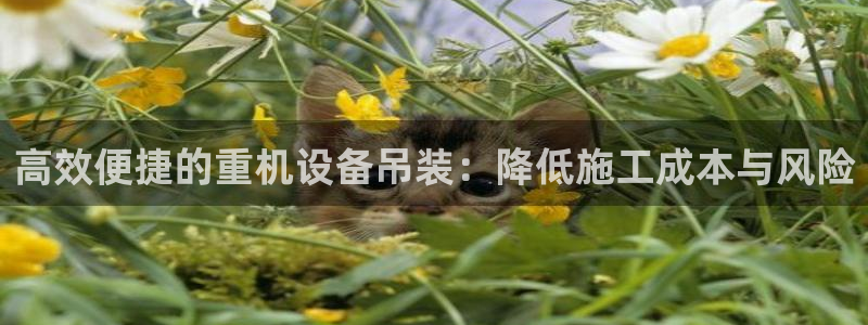 快手天宏娱乐是什么：高效便捷的重机设备吊装：降低施工成本与风