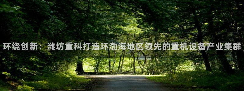 天鲸正宏娱乐是什么：环绕创新：潍坊重科打造环渤海地区领先的重