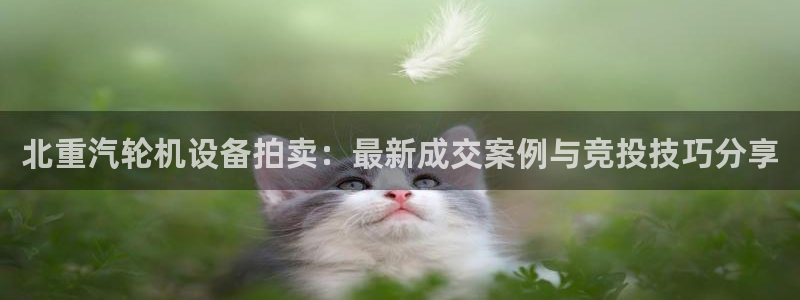 天宏娱乐玉海娱乐：北重汽轮机设备拍卖：最新成交案例与竞投技巧