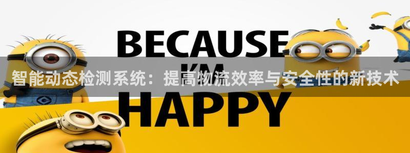 天宏娱乐开业晚宴：智能动态检测系统：提高物流效率与安全性的新