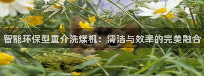 天宏娱乐国际会所