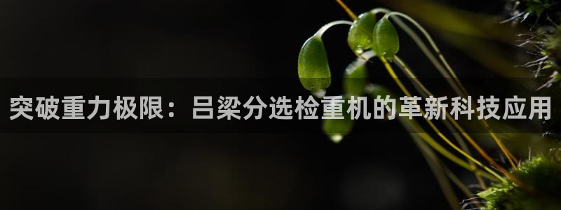 天宏娱乐石叔简介：突破重力极限：吕梁分选检重机的革新科技应用