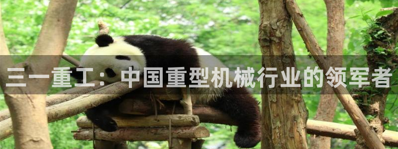 天宏娱乐倒闭了吗：三一重工：中国重型机械行业的领军者