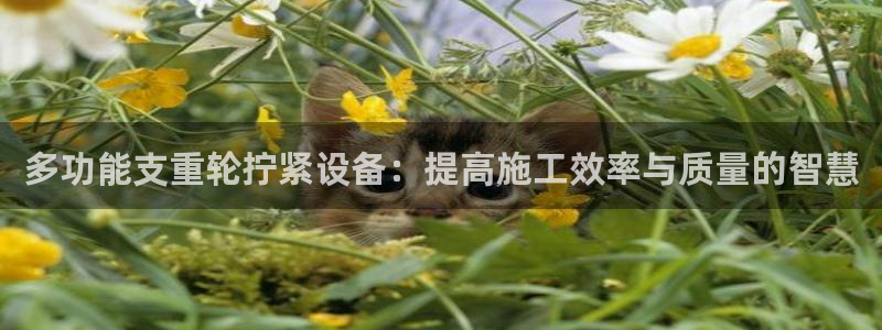 天宏娱乐6号：多功能支重轮拧紧设备：提高施工效率与质量的智慧