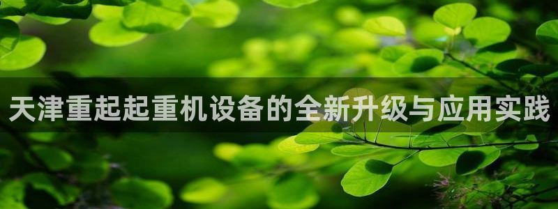 天宏娱乐秦叔：天津重起起重机设备的全新升级与应用实践