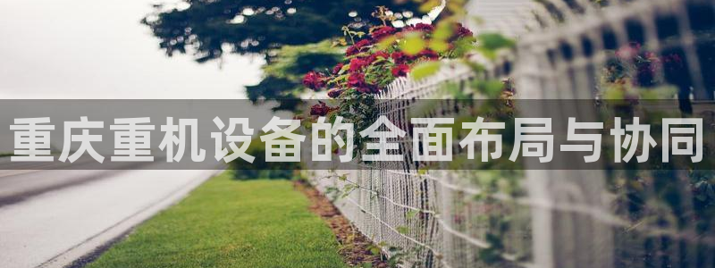 天宏娱乐大叔团队介绍图片：重庆重机设备的全面布局与协同