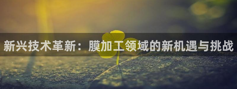 天宏娱乐是干嘛的啊：新兴技术革新：膜加工领域的新机遇与挑战
