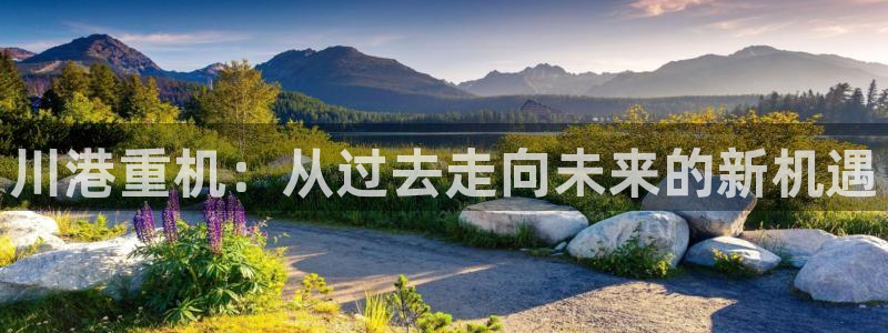 天宏娱乐i 判官