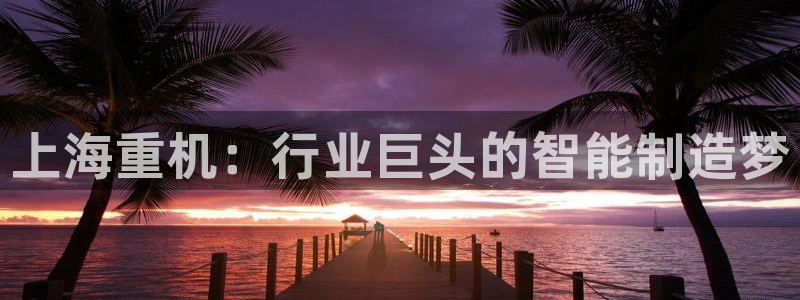 宏天娱乐会所电话：上海重机：行业巨头的智能制造梦