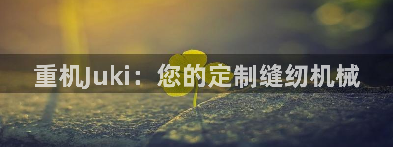 天宏娱乐招商部电话