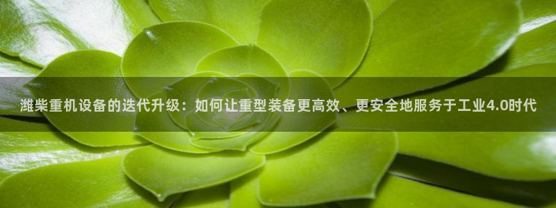 天宏娱乐王叔