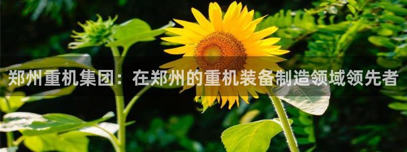 天宏娱乐下载：郑州重机集团：在郑州的重机装备制造领域领先者