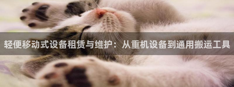 天宏娱乐登录平台：轻便移动式设备租赁与维护：从重机设备到通用