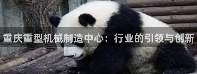 天宏 娱乐属于什么平台：重庆重型机械制造中心：行业的引领与创