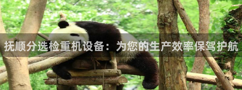 天宏娱乐：抚顺分选检重机设备：为您的生产效率保驾护航
