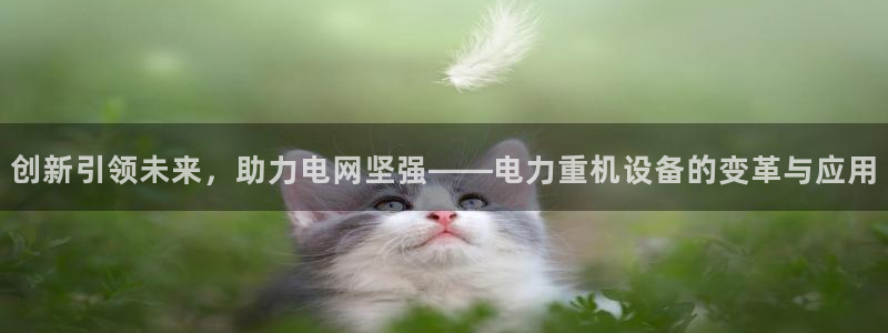 宏天娱乐会所电话：创新引领未来，助力电网坚强——电力重机设备