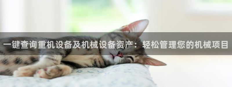 河源天宏娱乐：一键查询重机设备及机械设备资产：轻松管理您的机