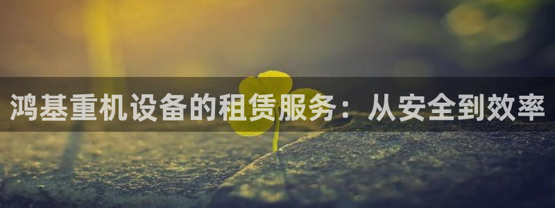 天宏娱乐i OO判官：鸿基重机设备的租赁服务：从安全到效率