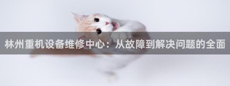 天宏娱乐g OO判官：林州重机设备维修中心：从故障到解决问题