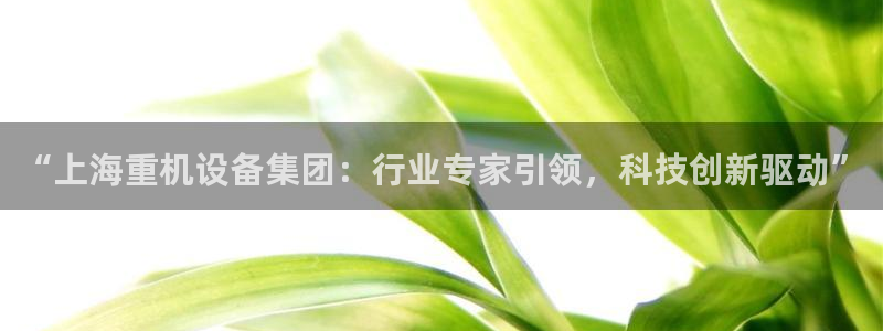 天宏娱乐玉海娱乐：“上海重机设备集团：行业专家引领，科技创新