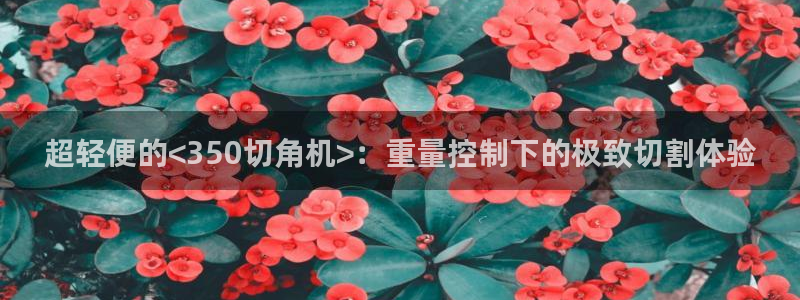 天宏娱乐河源店招聘信息：超轻便的<350切角机>：重量控制下