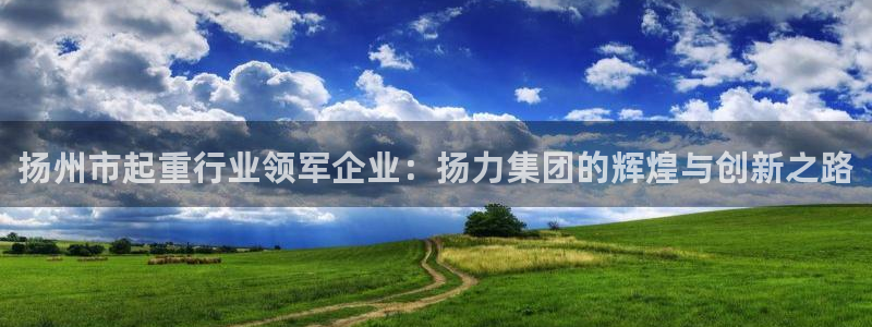 天宏娱乐 老刘：扬州市起重行业领军企业：扬力集团的辉煌与创新
